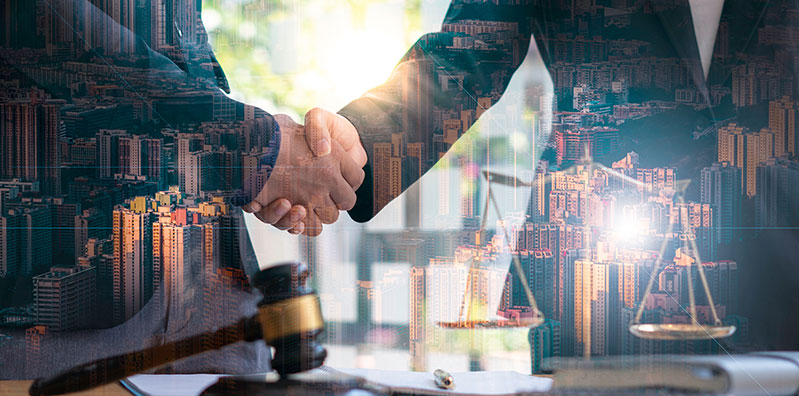 Expert Immigration Lawyers